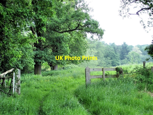 Photo 6"x4" Maelor Way and Iscoyd Wood Hall Green\/SJ4942 c2008