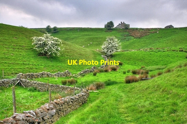 Photo 6"x4" Gill House Arkle Town c2008