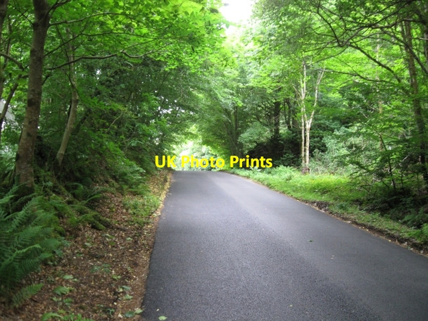 Photo 6"x4" A861 at Ardnastang Ardnastang c2008 P1
