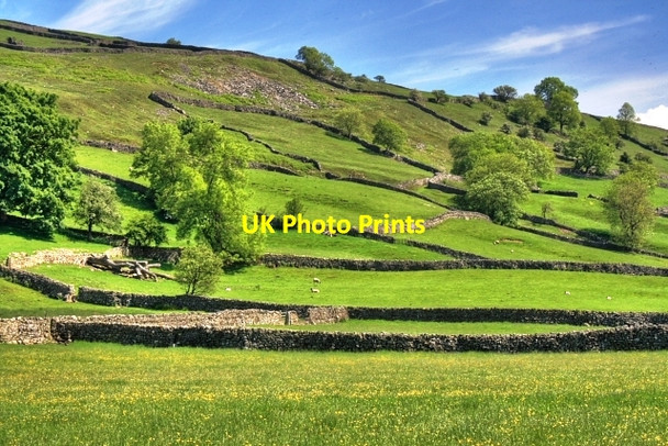 Photo 6"x4" Lower Slopes of Calver Hill Healaugh\/SE0199 c2008