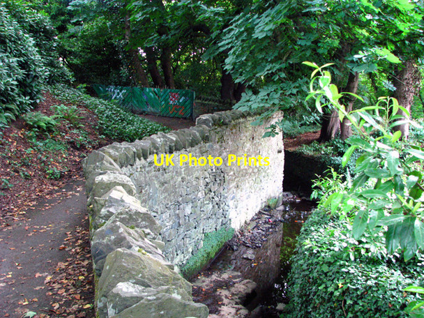 Photo 6"x4" Twisel Burn, Holywood Cultra c2008