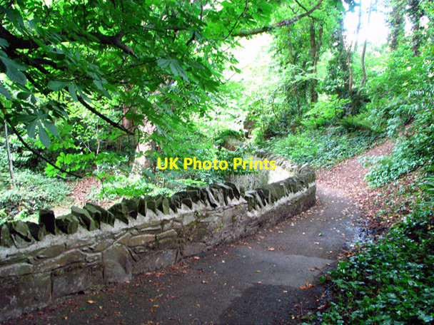 Photo 6"x4" Path by Twisel Burn, Holywood Cultra c2008