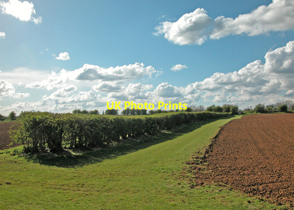 Photo 6"x4" Bo-peep in Spring Adderbury c2005