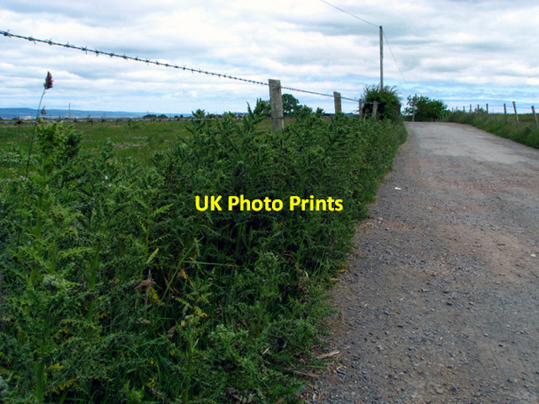 Photo 6"x4" Lane near Drumbo Drumbo\/J3265 c2008