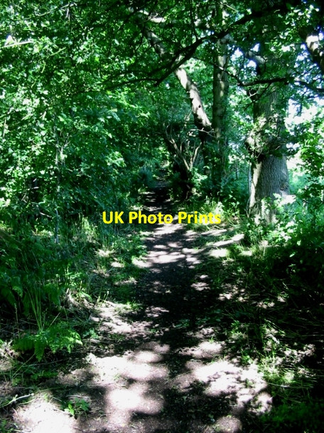 Photo 6"x4" Footpath to Deadmill Bridge Grove Hill\/TR2360 c2008
