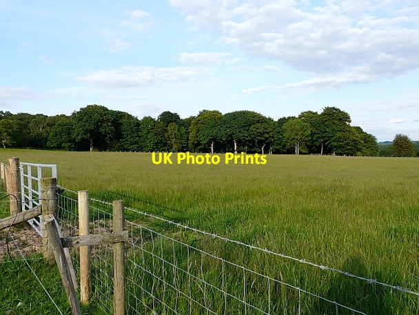 Photo 6"x4" View across grass field to High Wood Burtholme c2008