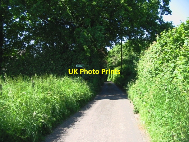 Photo 6"x4" Looking NW along lane towards North Elham North Elham c2008