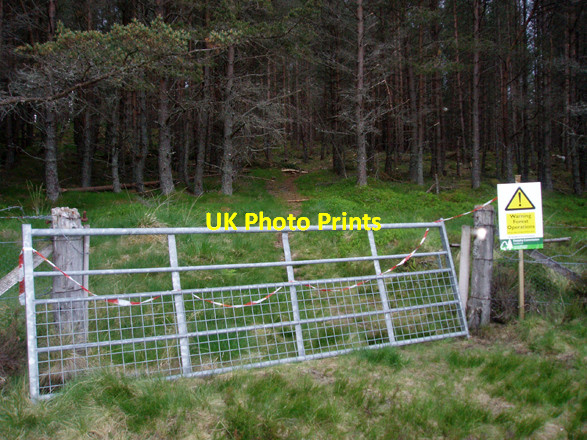 Photo 6"x4" Gate into Plantation Corarnstilbeg c2008