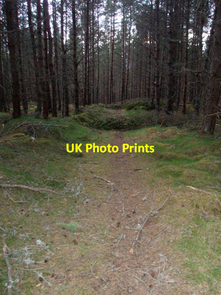 Photo 6"x4" Blocked Track Corarnstilbeg c2008