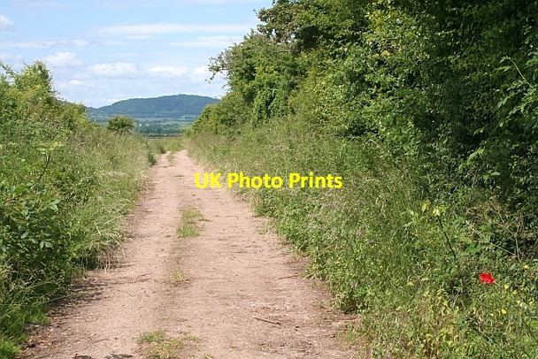 Photo 6"x4" Track near Longdon Longdon\/SO8336 c2008