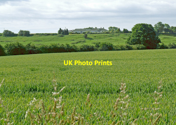 Photo 6"x4" Winter wheat Chesterton Green c2008
