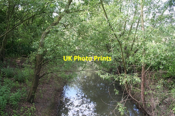 Photo 6"x4" The Longdon Brook Longdon Hill End c2008