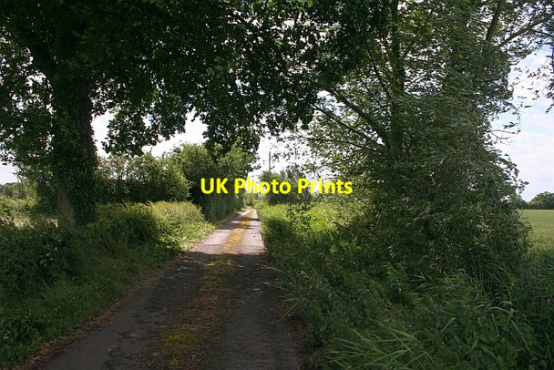 Photo 6"x4" Lane to Smithmoor Common Baughton c2008