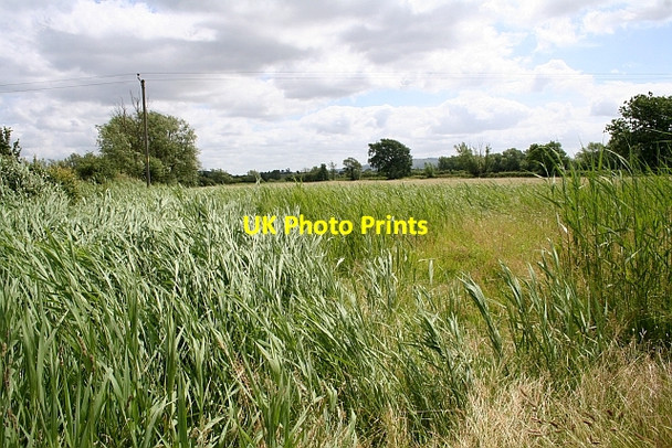 Photo 6"x4" Wet Pasture Baughton c2008