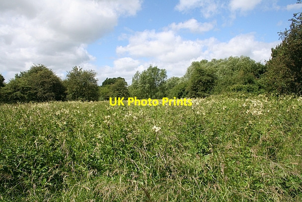 Photo 6"x4" Uncultivated field Baughton c2008
