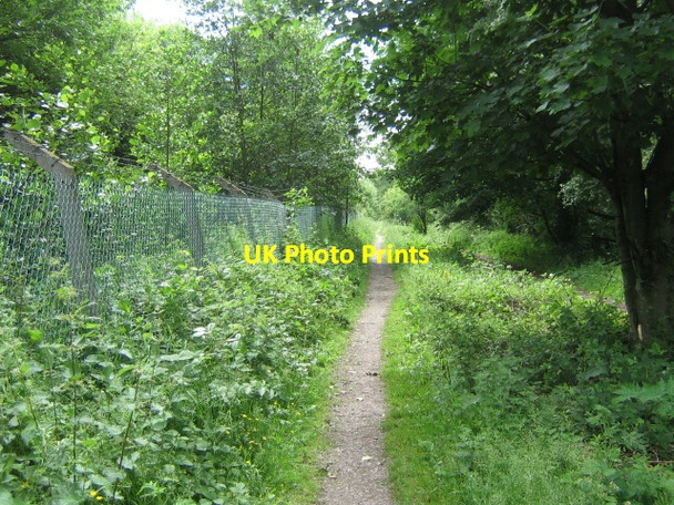 Photo 6"x4" Footpath, River Eden Carlisle c2008