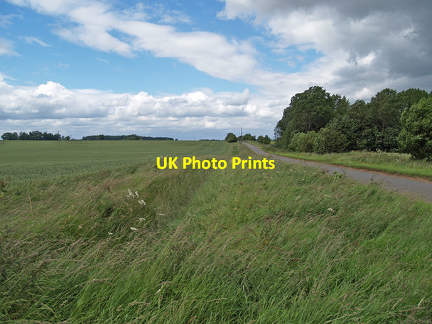 Photo 6"x4" The Road to Whitton West Halton c2008