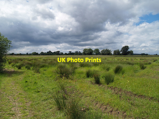 Photo 6"x4" North of Winteringham Lane West Halton c2008