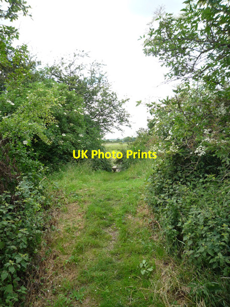 Photo 6"x4" Crossing the Old Railway West Halton c2008