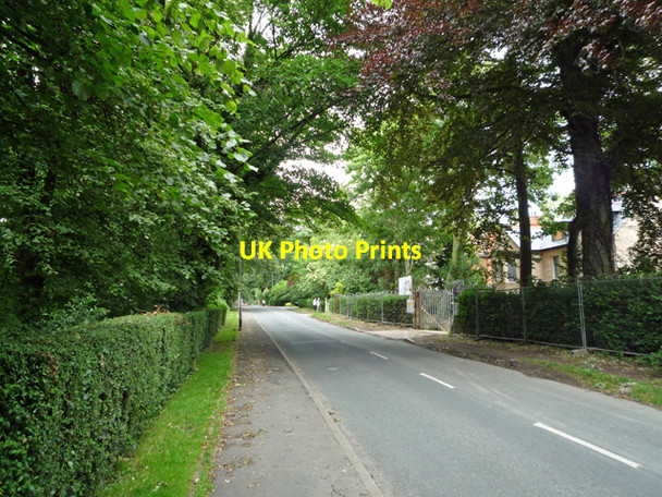 Photo 6"x4" Woodfield Lane, Hessle Hessle\/TA0326 c2008