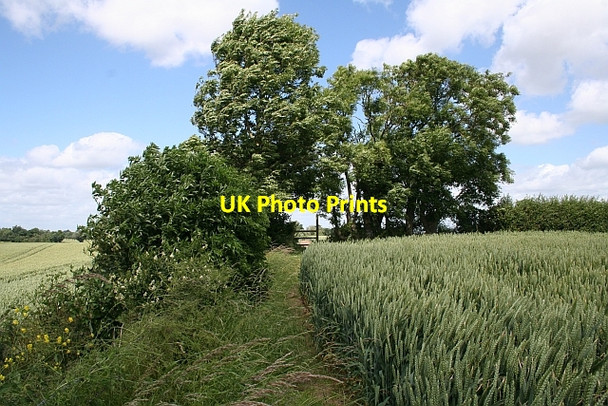 Photo 6"x4" Staggered field boundaries Baughton c2008