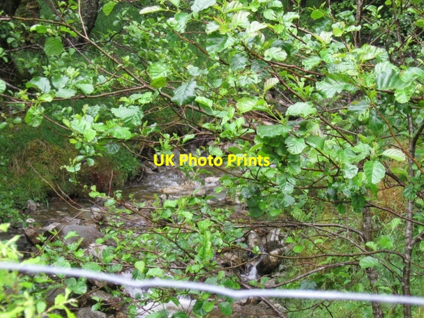 Photo 6"x4" Allt Barr Mhin off B8074, Glen Orchy Allt Barr Mhin c2008