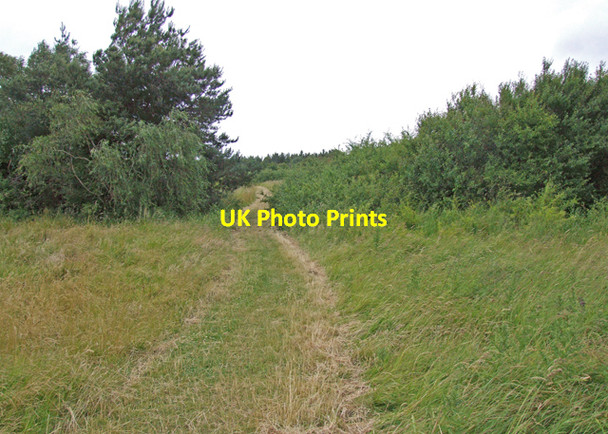 Photo 6"x4" Cliff top path Thurstaston c2008