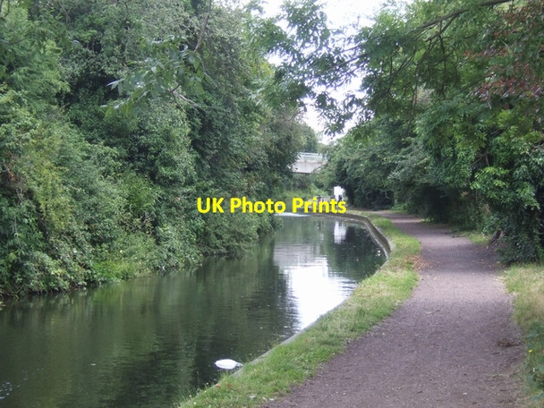 Photo 6"x4" Stourbridge Branch Canal Buckpool\/SO8986 c2008