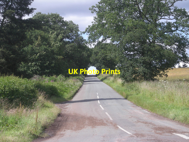 Photo 6"x4" Lane to the common Blundies c2008