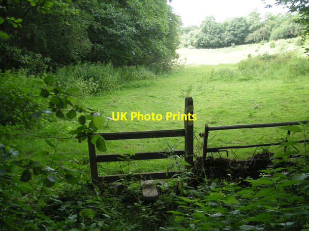 Photo 6"x4" Leaving the woods Coppicegate c2008
