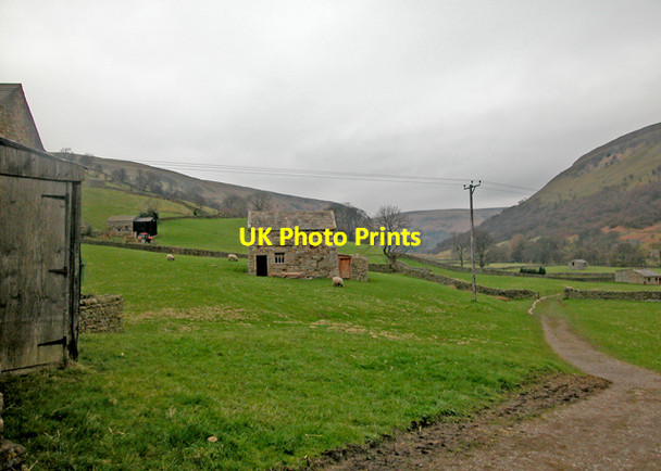 Photo 6"x4" Hay meadows Muker c2004 P2