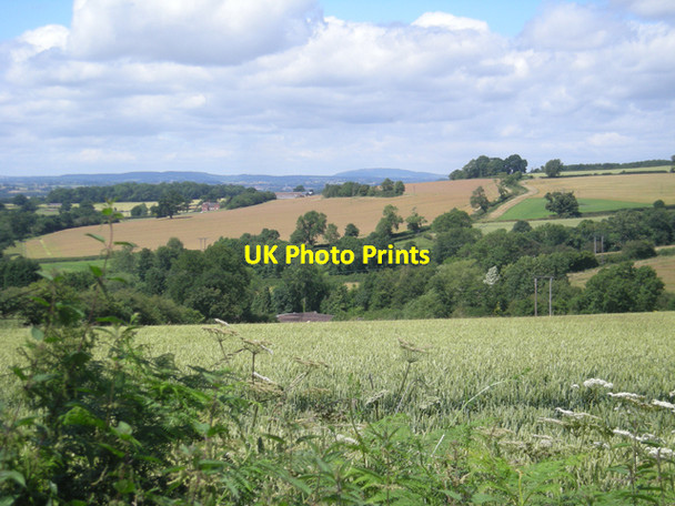 Photo 6"x4" Growing cereals Turleygreen c2008