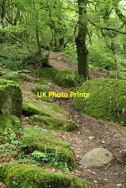 Photo 6"x4" Lustleigh: path to Sharpitor Lustleigh c2008