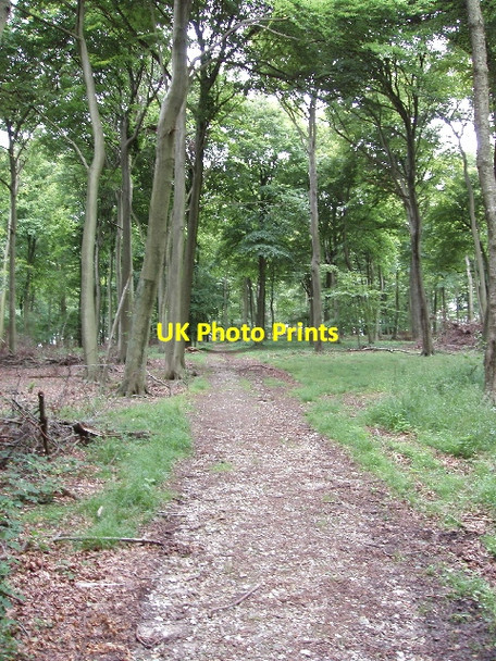 Photo 6"x4" Chiltern Way in Park Wood near Maidensgrove Maidensgrove c2008
