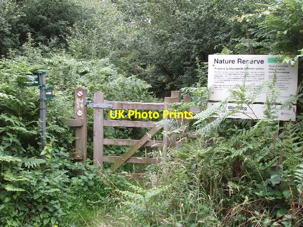 Photo 6"x4" Entrance to Warburg Nature Reserve Maidensgrove c2008