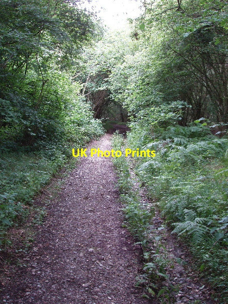 Photo 6"x4" Restricted Byway alongside Warburg Nature Reserve Maidensgrove c2008