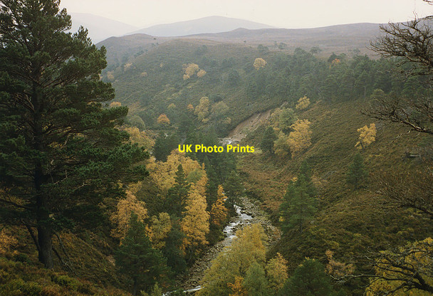 Photo 6"x4" The Allt Druidh Allt Druidh c1989