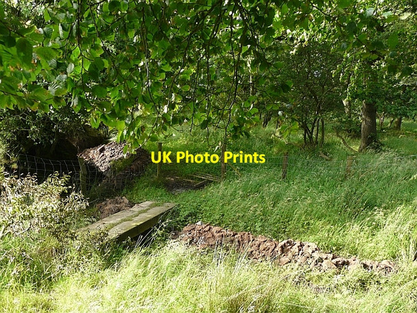 Photo 6"x4" Footbridge across ditch, Barns Plantation Kirkcambeck c2008