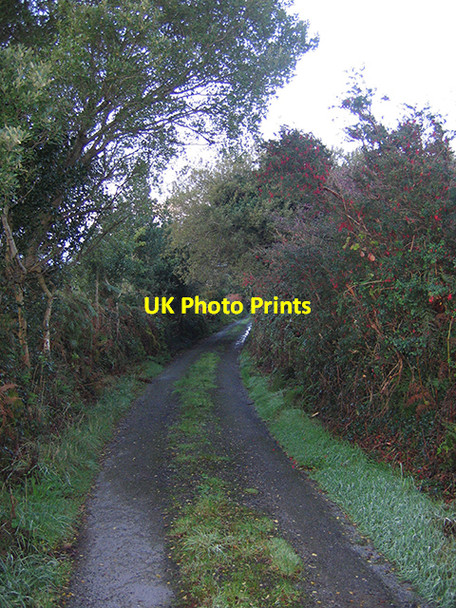 Photo 6"x4" Boreen near Tahilla, Co. Kerry Tahilla c2006