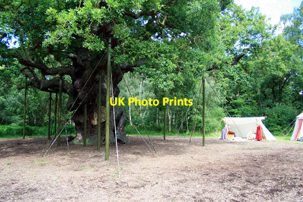 Photo 6"x4" Medieval Preparations by The Major Oak Edwinstowe c2008