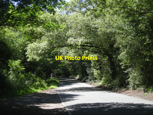 Photo 6"x4" Compton Road Kinver c2008