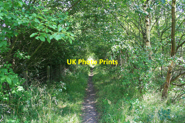 Photo 6"x4" Path Near Pye Hill Jubilee\/SK4452 c2008