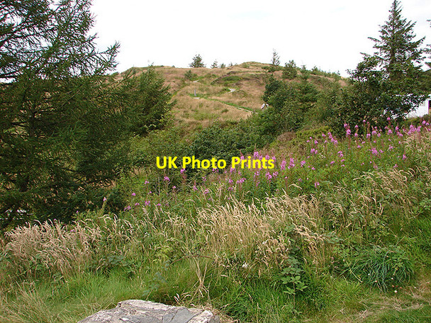 Photo 6"x4" Paths at Nantyrarian visitor centre Cwmbrwyno c2008