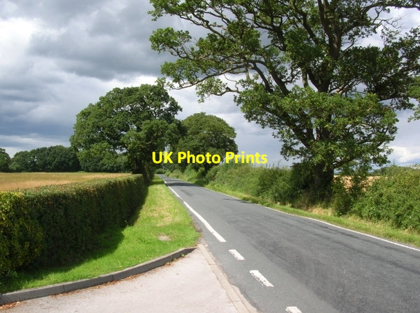 Photo 6"x4" Moor Lane next to golf club Wigginton\/SE5958 c2008