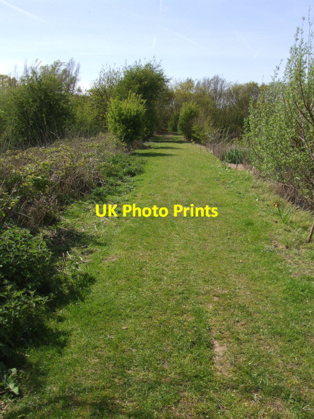 Photo 6"x4" Footpath towards the woods Stonebridge\/TQ9188 c2008