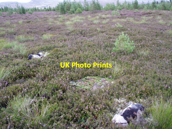 Photo 6"x4" Demolished Summit Cairn Lochanhully c2008