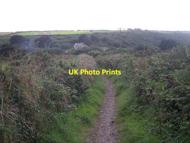 Photo 6"x4" Footpath into Cot Valley Nanquidno c2008