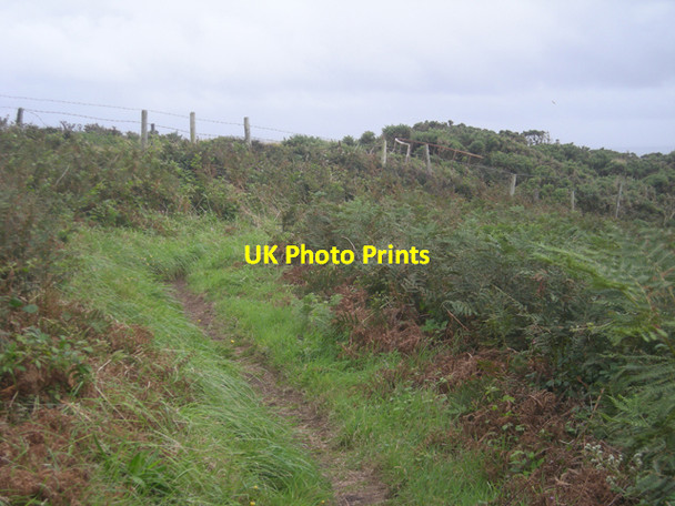 Photo 6"x4" The South West Coast path between fields & cliffs Boskenna c2008