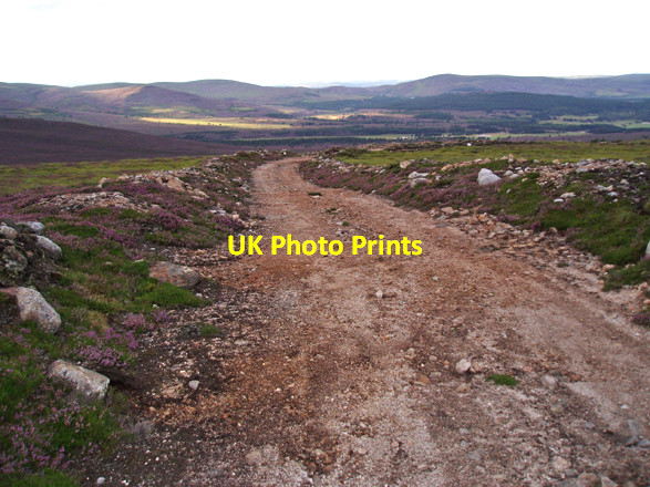 Photo 6"x4" Track on Carn Sleamhuinn Kinveachy Forest c2008