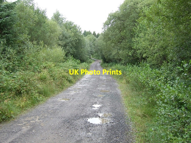 Photo 6"x4" Heol Tir-Lan Pathway Pen-common c2008